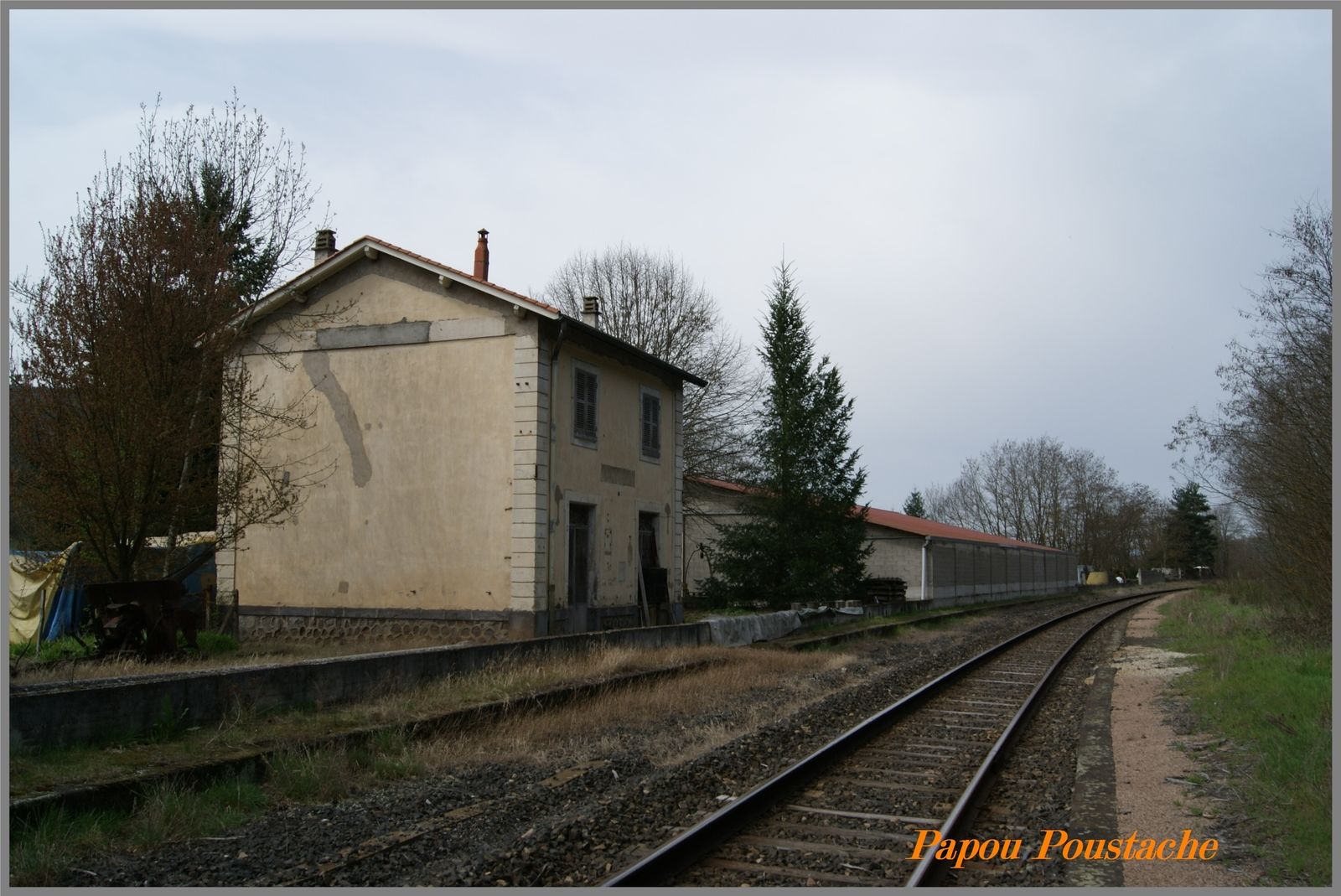 Frugières le pin