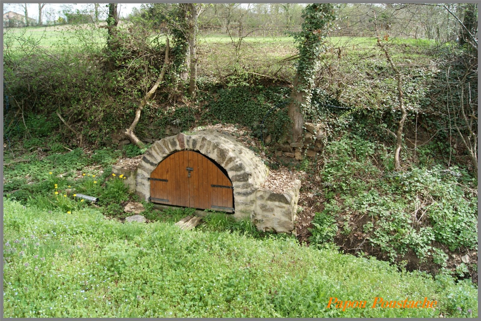 Frugières le pin