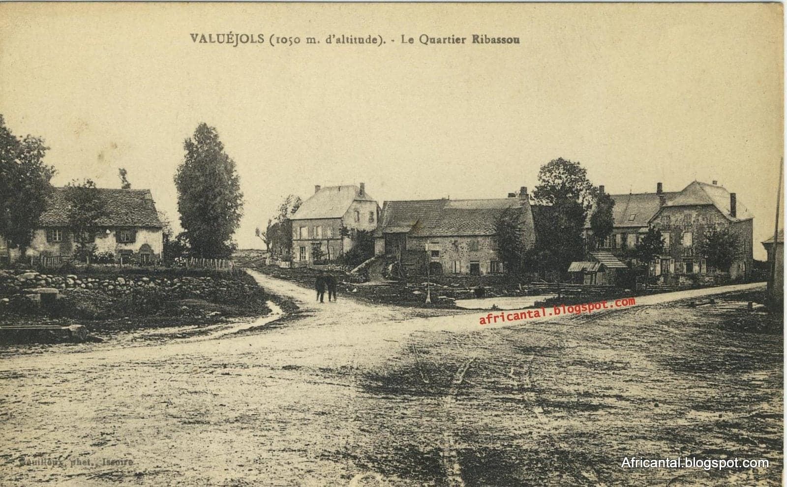 Un blog de l'Auvergne de Vincent:   Africantal