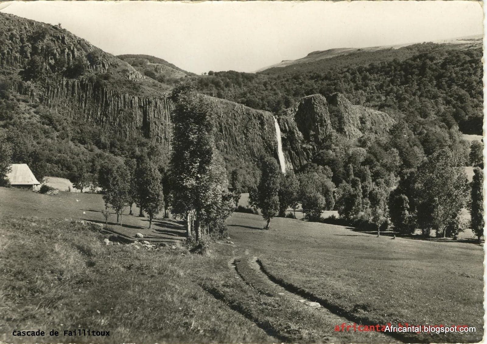 Un blog de l'Auvergne de Vincent:   Africantal