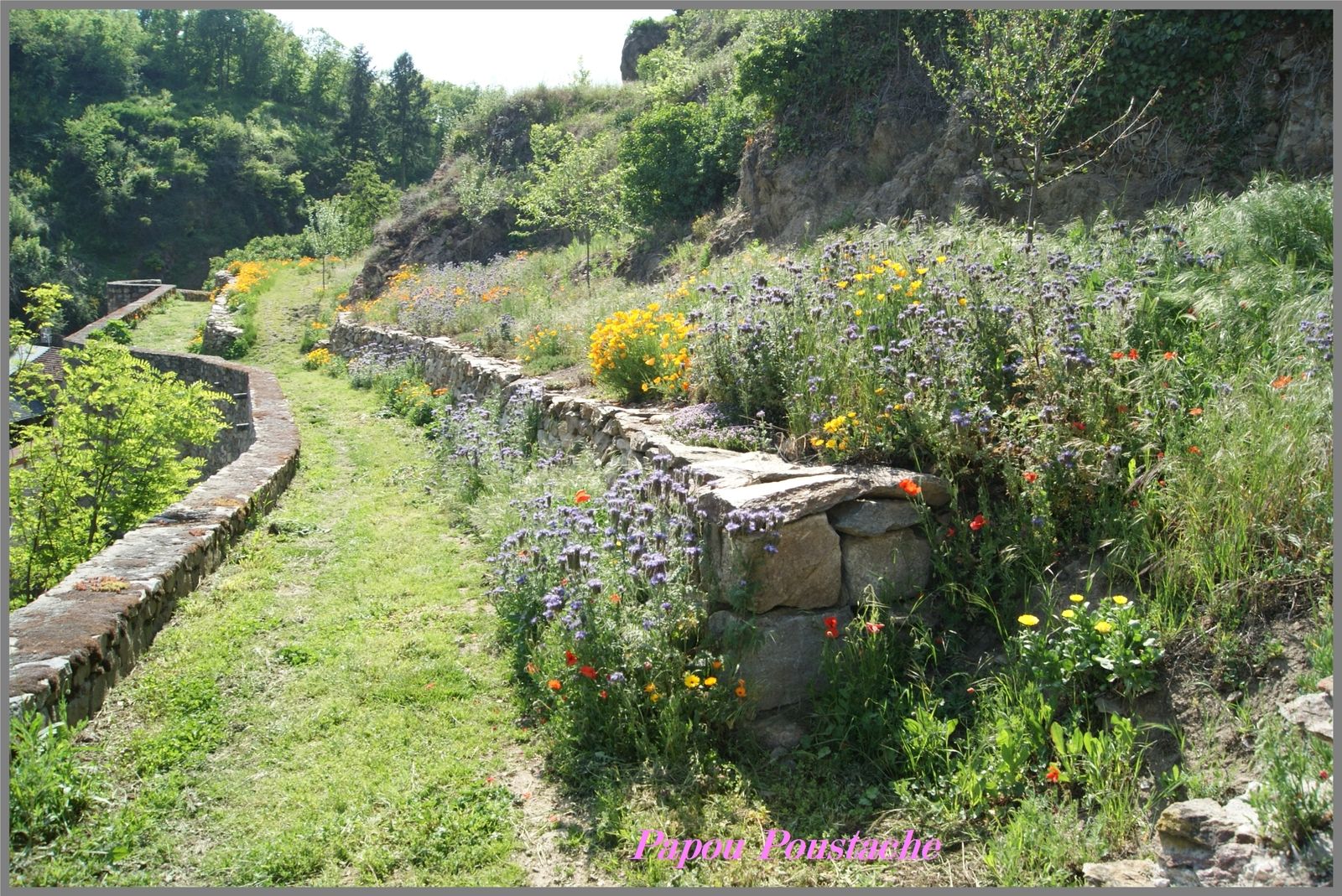 Le chemin de ronde au village de Auzon