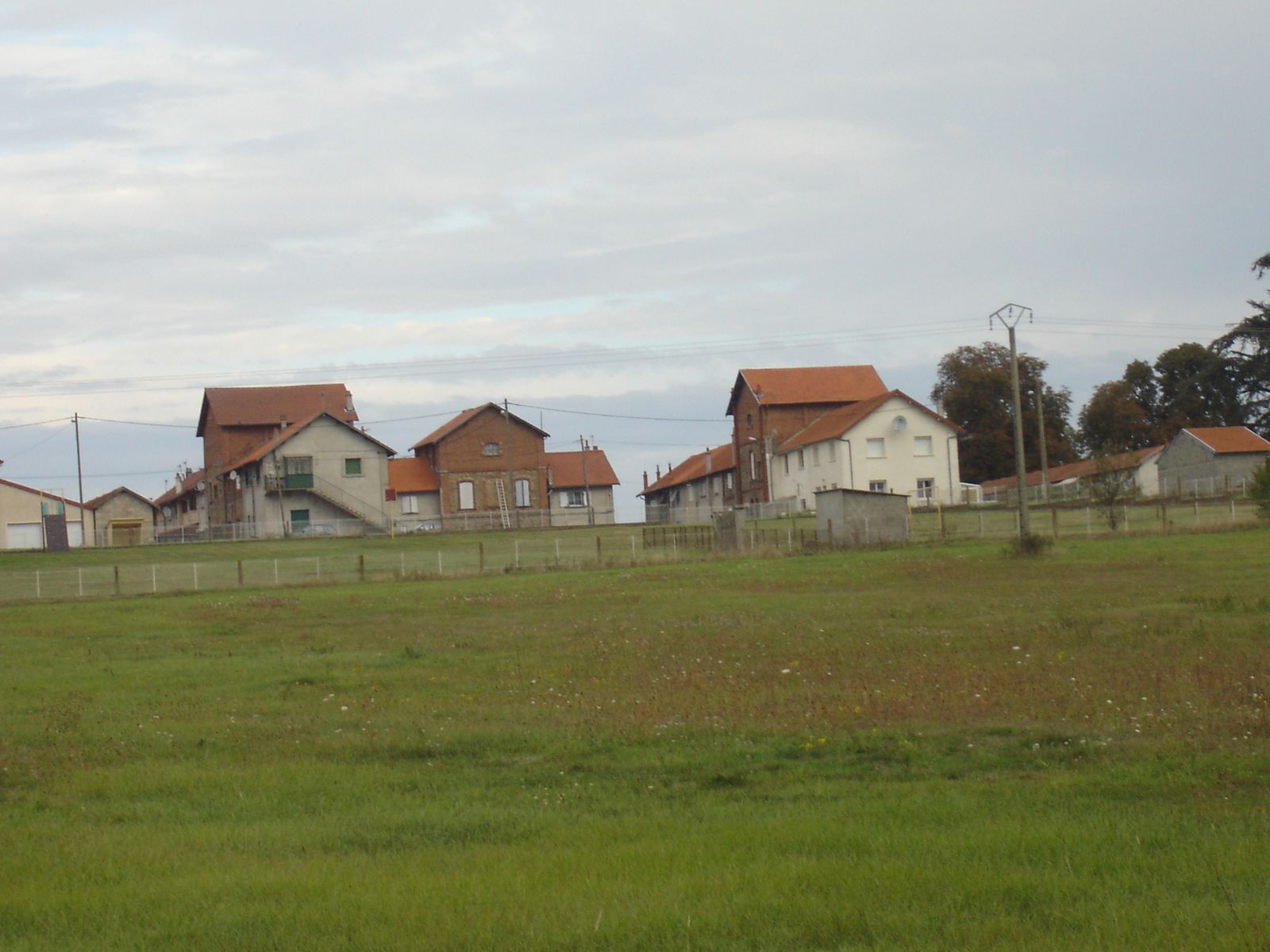 Bergoide