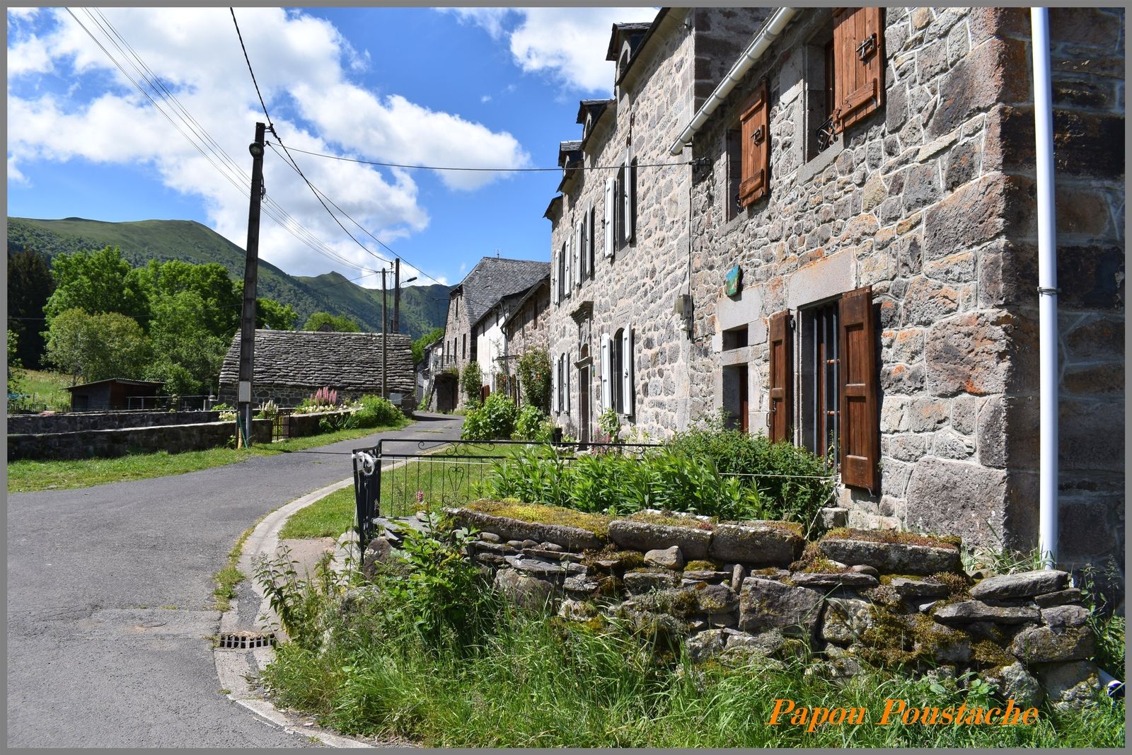 Lavigerie 