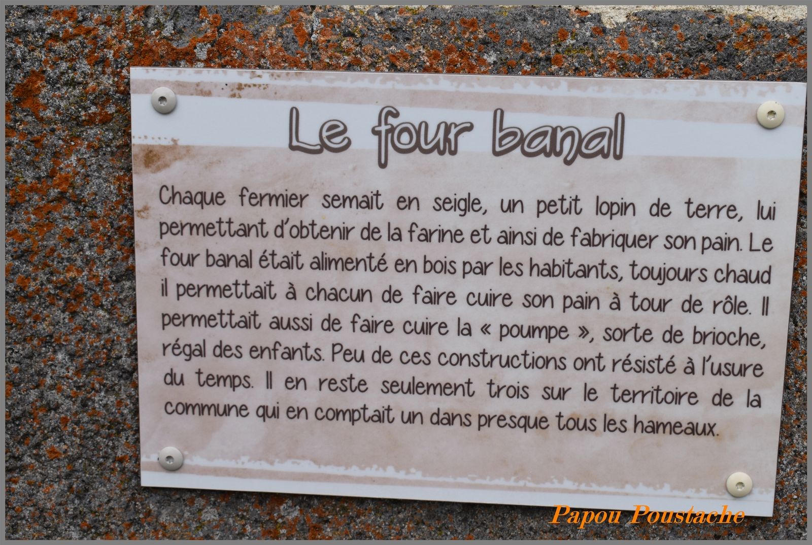 Le four banal en Auvergne