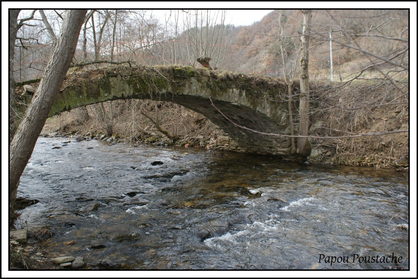 Les bords de la Sianne