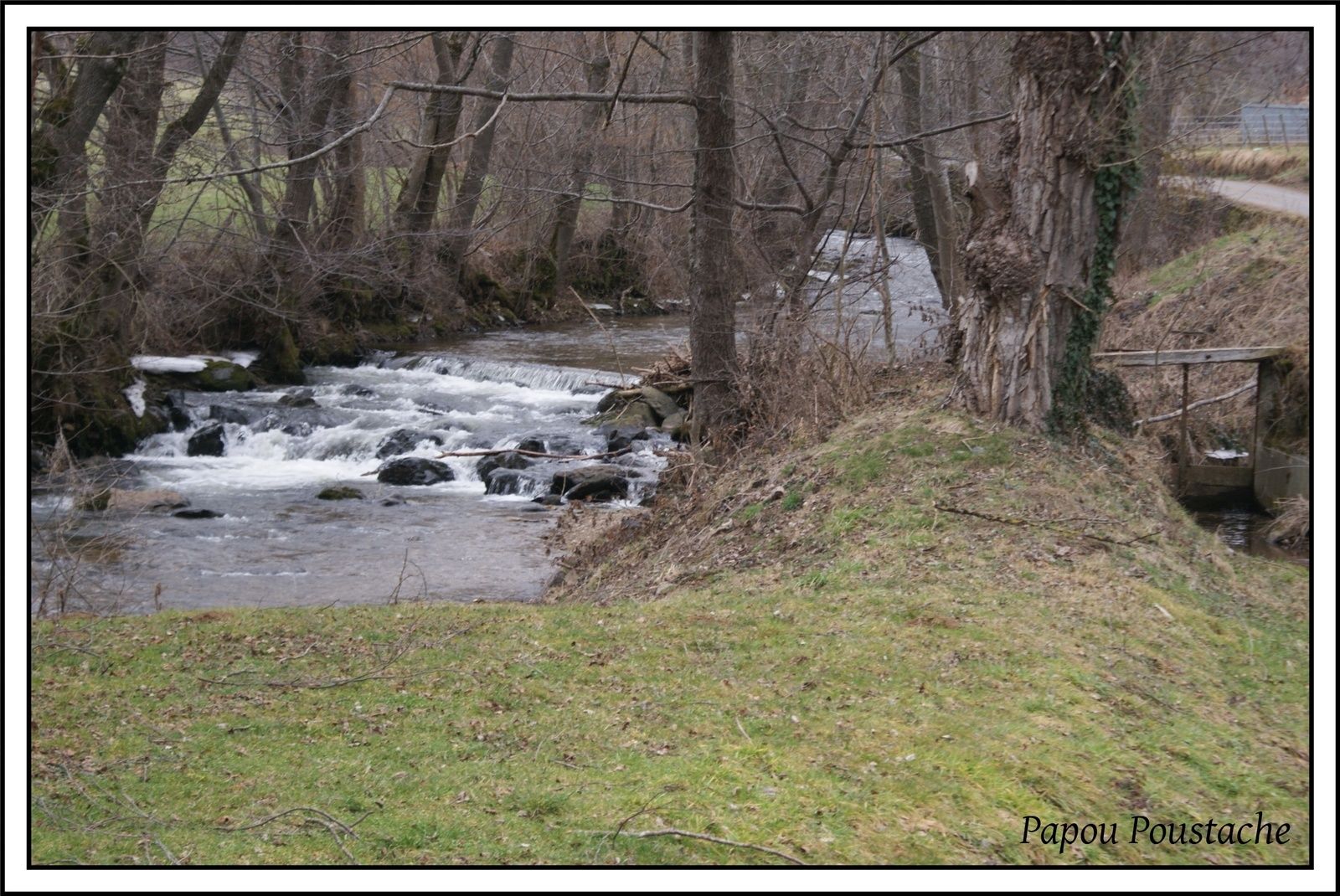 Les bords de la Sianne