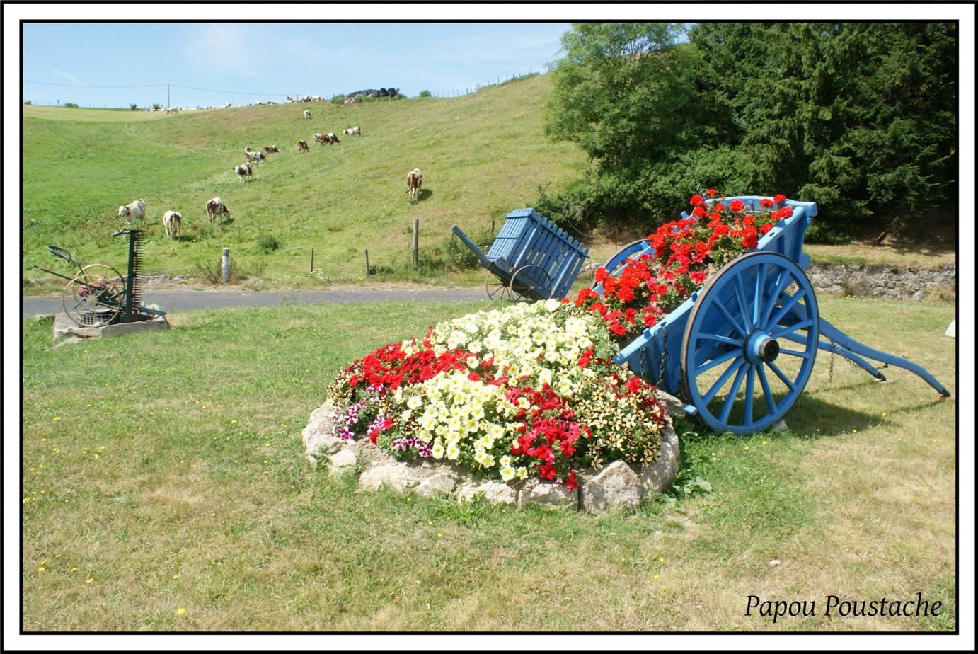 Cartes de voeux gratuites d'Auvergne