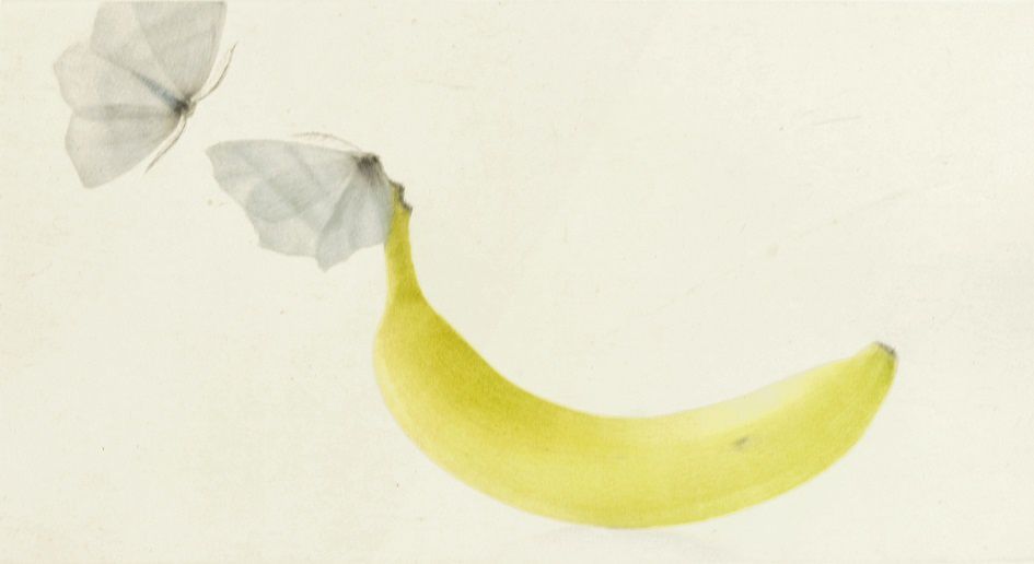 Une Banane, Mikio WATANABE, lauréat