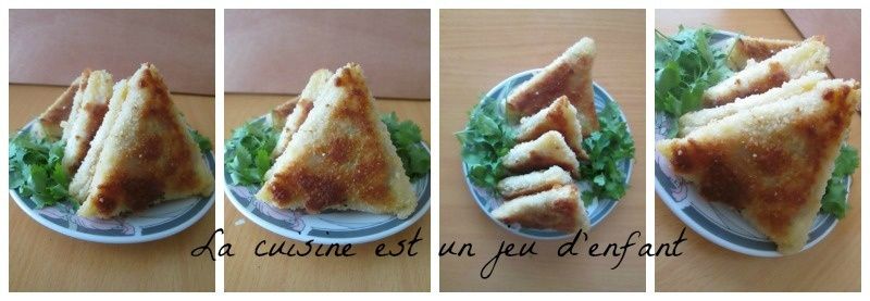 Bricks panées au thon