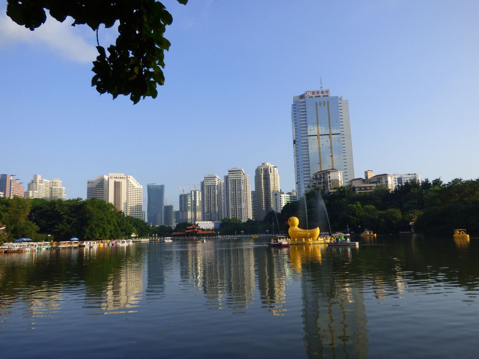 Le parc Lizhi 荔枝公园, Shenzhen 深圳