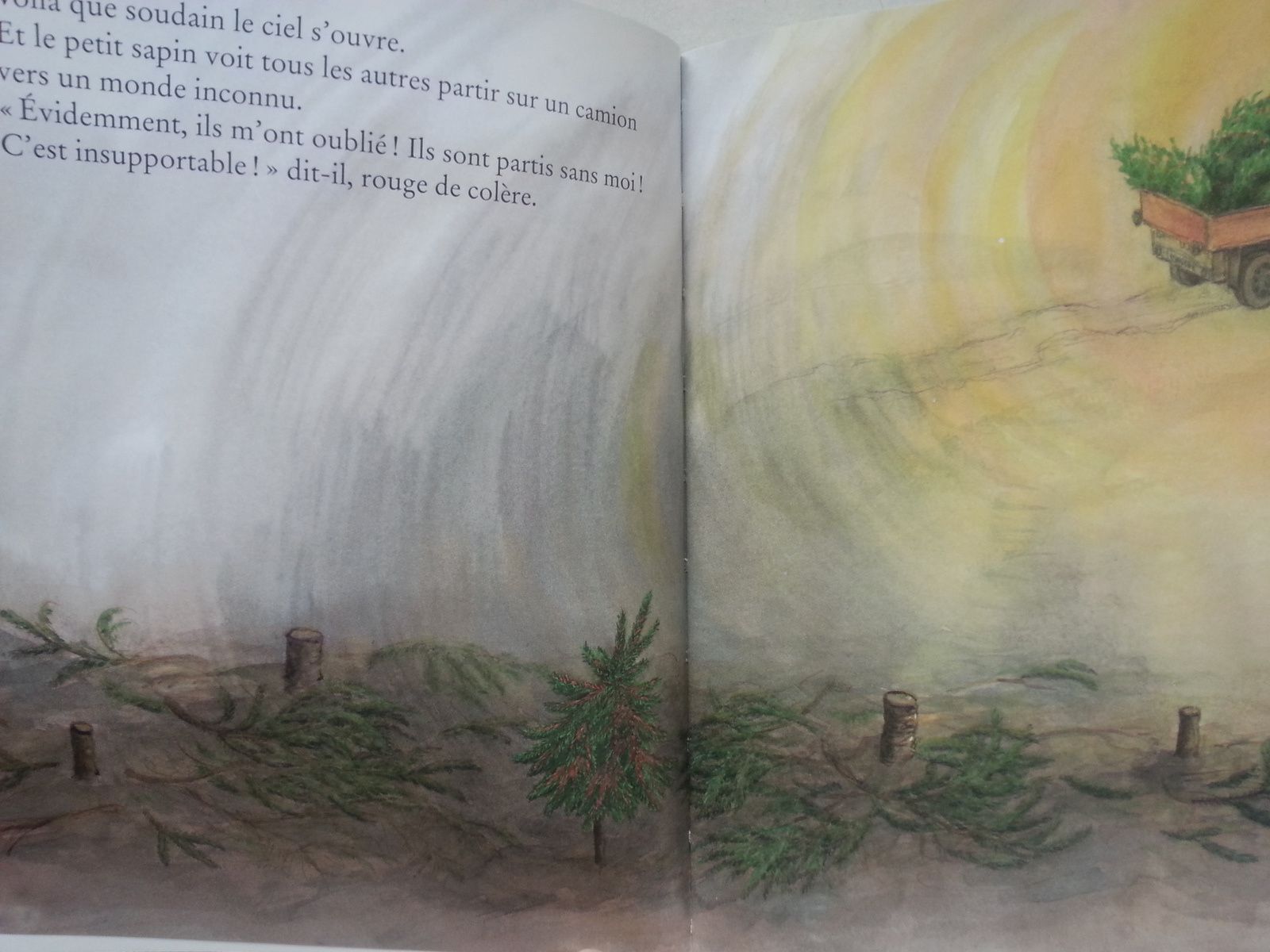 La robe de Noël. Texte et illustrations de Satomi ICHIKAWA - 2009 (Dès 3  ans) - VIVRELIVRE