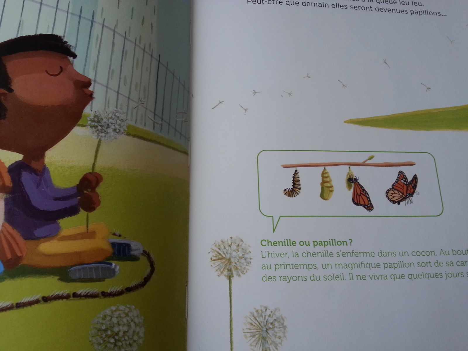 Vu De Loin Le Printemps Est Vert Le livre vert du printemps. Sophie COUCHARRIERE et Hervé LE GOFF – 2013