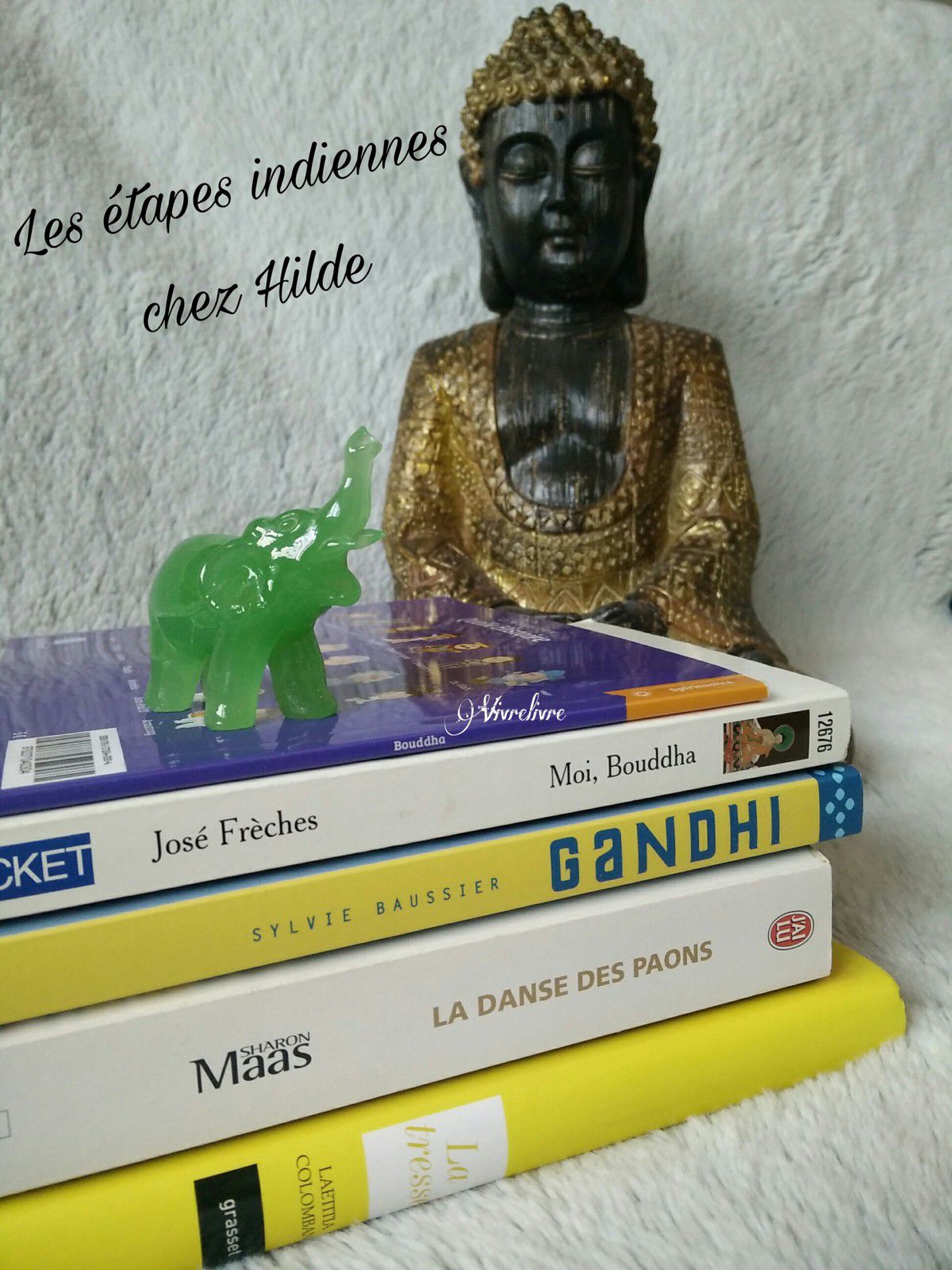 Les étapes indiennes Blog Vivrelivre