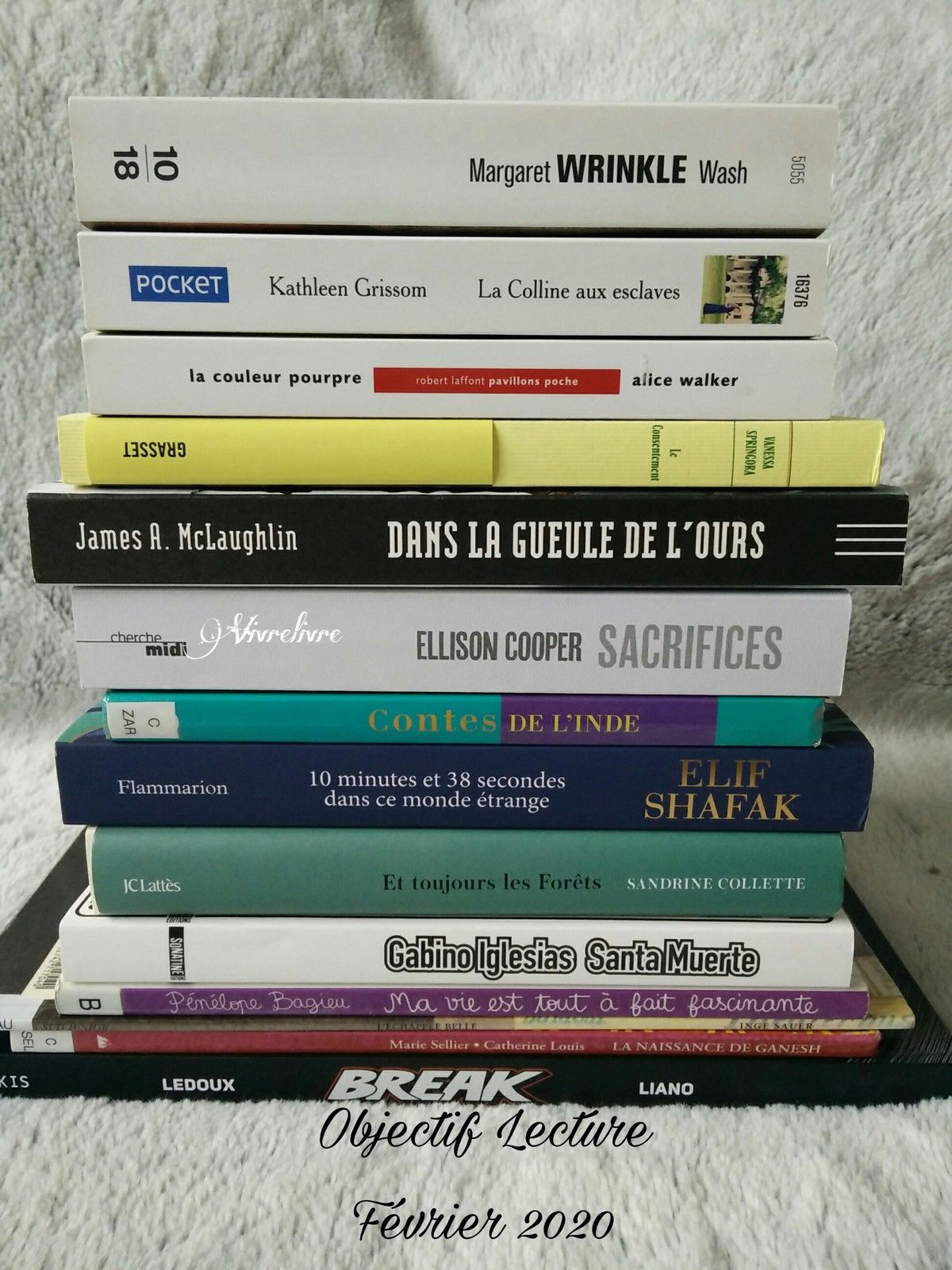 Objectif lecture février 2020 Blog Vivrelivre