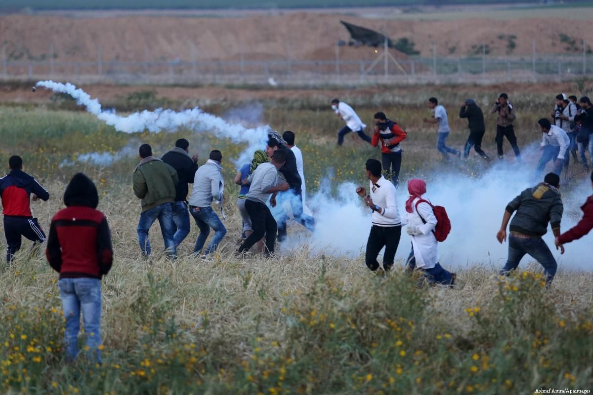 Gaza manifestations (c) Ashraf Amra / Apaimages