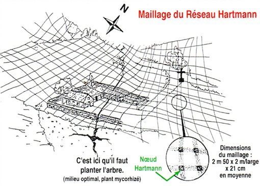 Diagnostic en géobiologie de votre habitat en Aquitaine Landes Gironde Pays Basque, votre geobiologue à Bordeaux, Arcachon, Mont de Maesan
