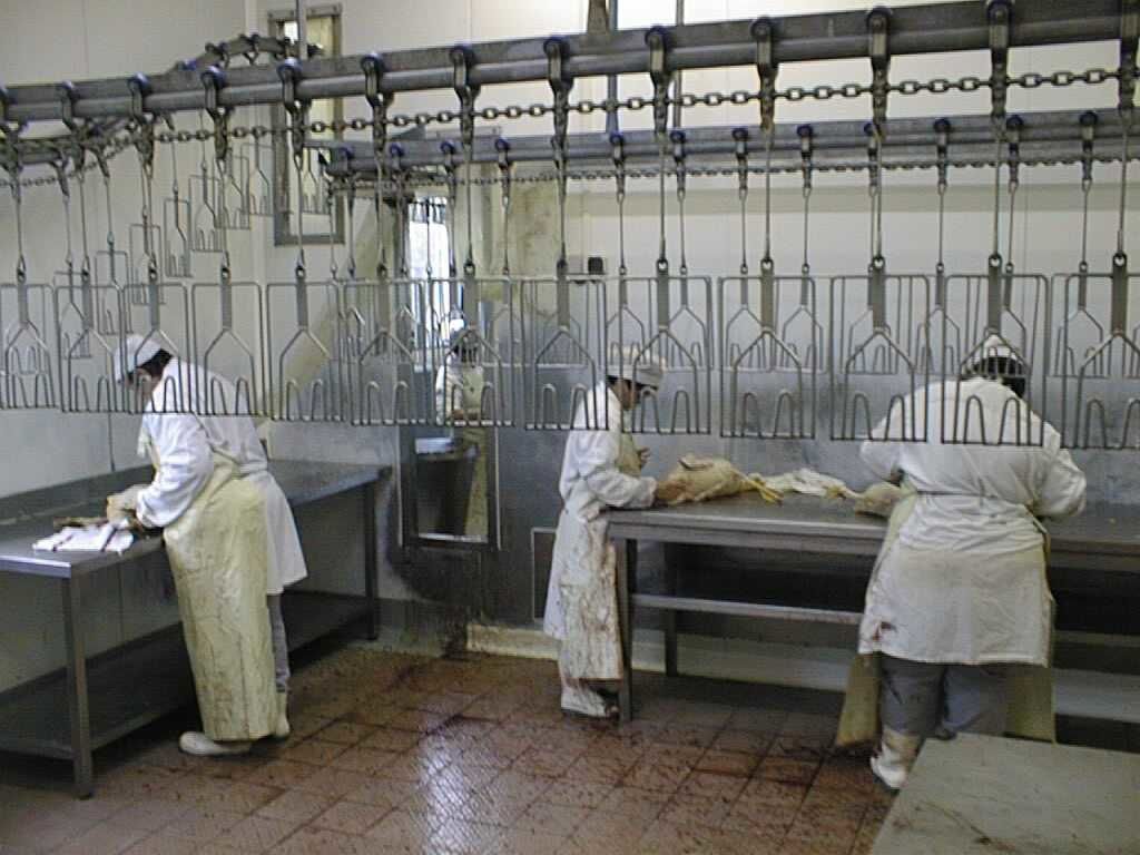 ESAT au Travail - Une partie de l'abattoir au Travail !