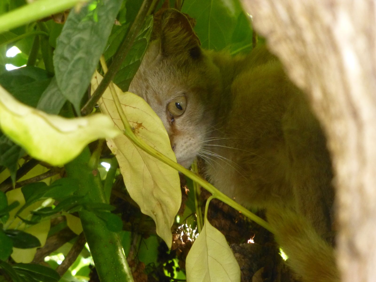 Cherche et trouve... - Le blog de Monique MERABET