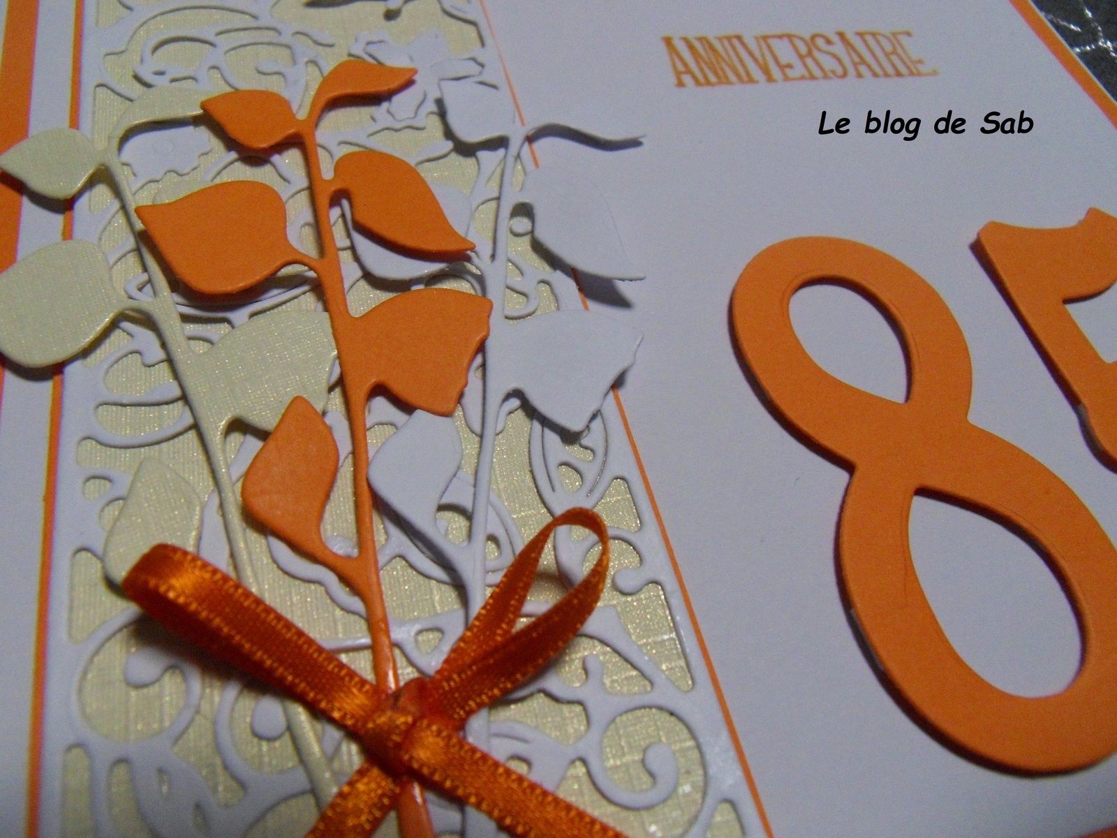 Carte Anniversaire 85 Ans Femme Le Blog De Sab