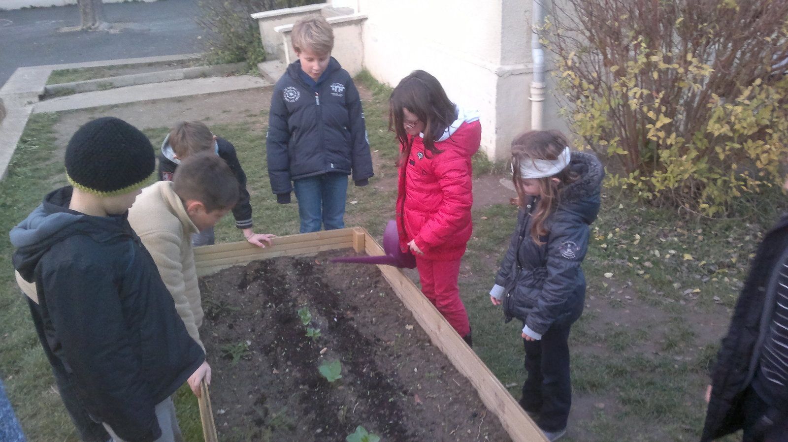 Initiation des enfants à la permaculture