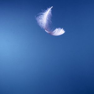 Plume D Ange Ecrit En Liberte