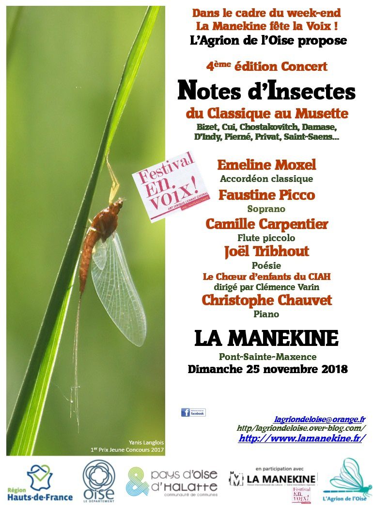 Notes D Insectes Du Classique Au Musette Le 25 Novembre L Agrion De L Oise