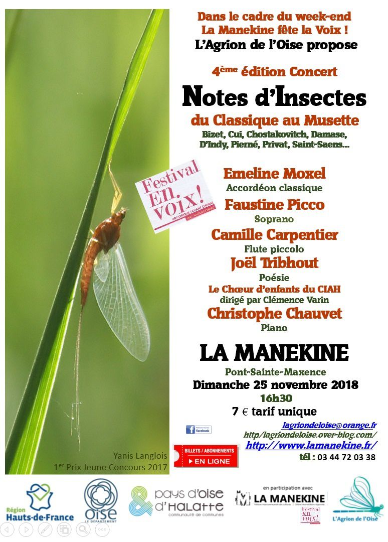 Notes D Insectes 4eme Edition Du Classique Au Musette L Agrion De L Oise