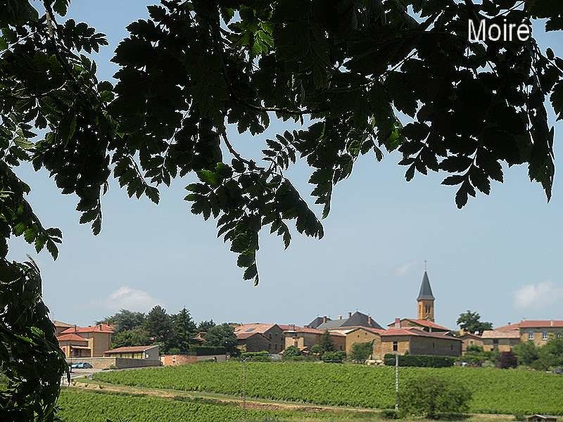 Précieux villages du Beaujolais, aux pierres dorées comme ses vins blancs