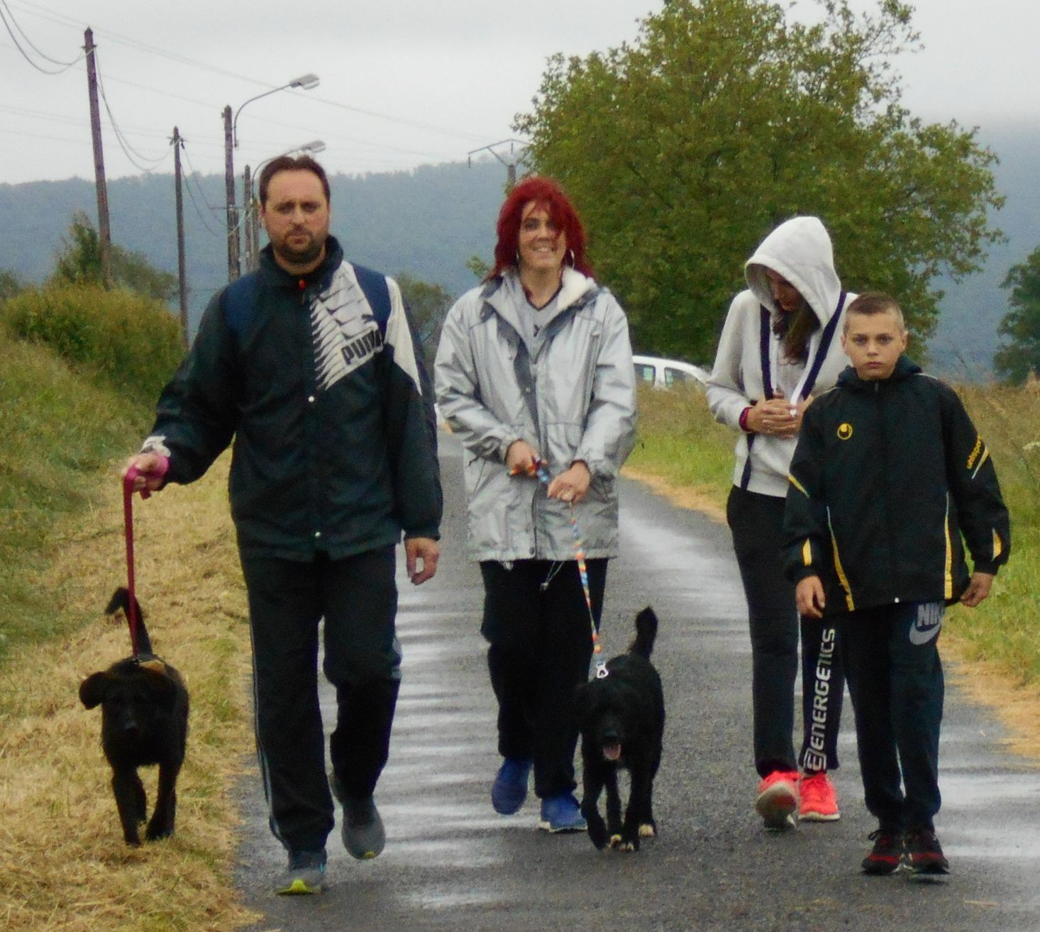 CETTE SORTIE A DISTRAIT LES CHIENS DE LEUR HABITUEL UNIVERS D'ENCLOS GRILLAGES