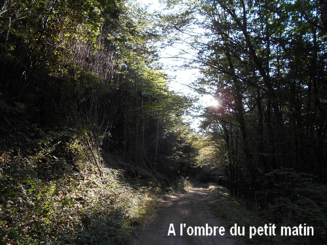 Avec ma carte au 1/25000 la rando commence à la maison