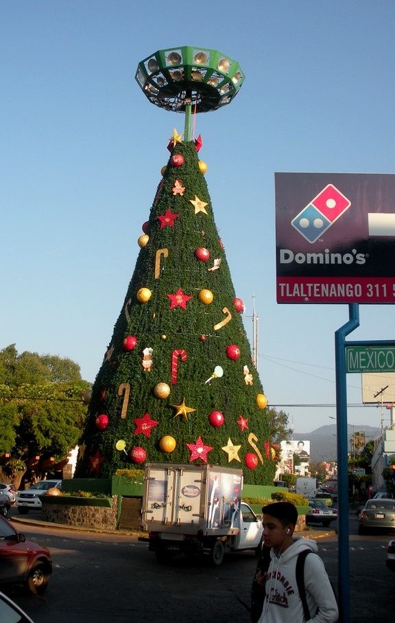 L'arbre de Noël de Tllaltenango a terminé sa croissance sur les hauteurs de Cuernavaca