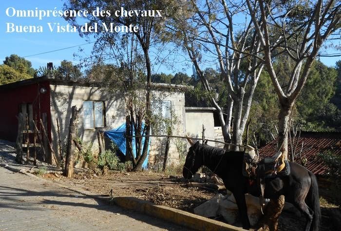 Première balade de ma 8e décennie : au village rural de Buena Vista del Monte, qui mérite bien son nom