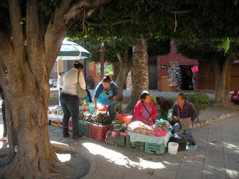 Les enseignes discrètes des commerçants de San Miguel