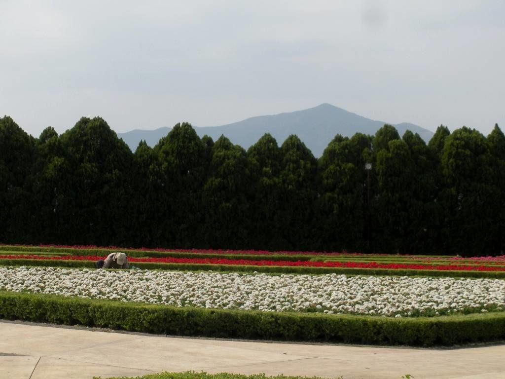 Un suberbe coin d'Italie aux Jardines de México