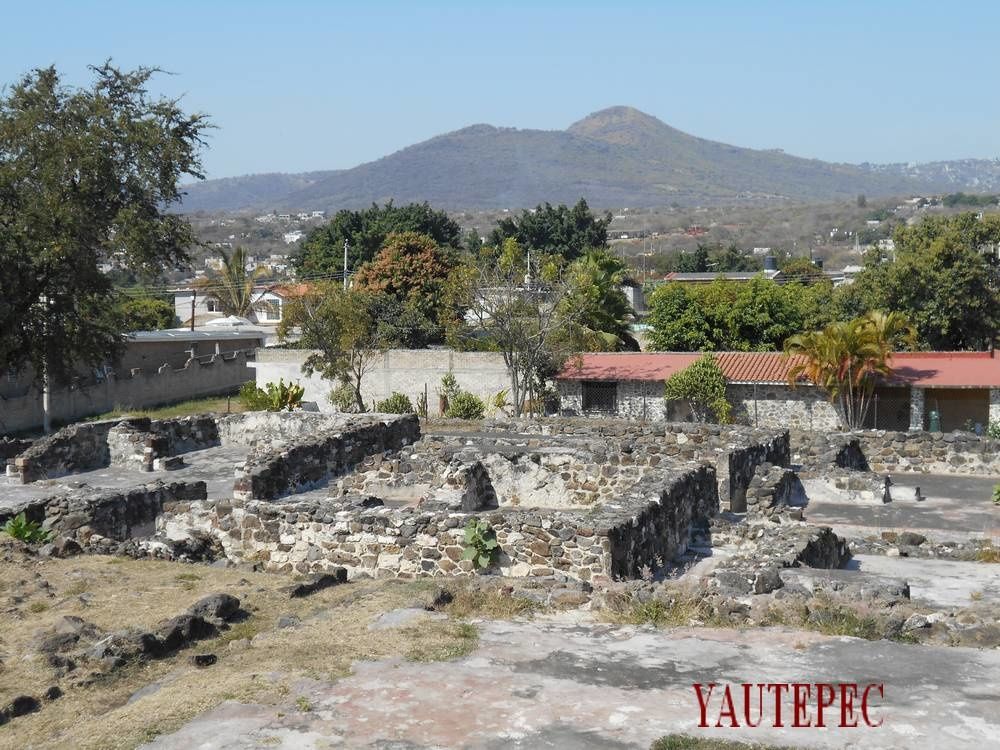 A la découverte de la nature près des pyramides mexicaines