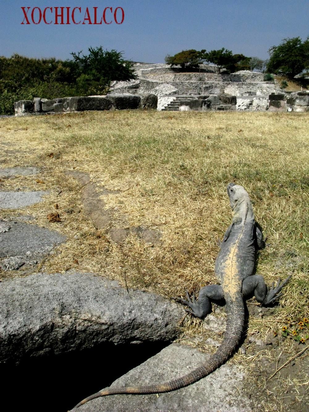 A la découverte de la nature près des pyramides mexicaines