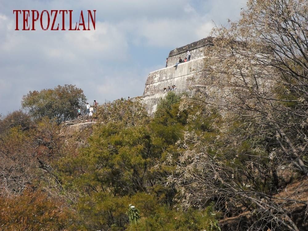 A la découverte de la nature près des pyramides mexicaines