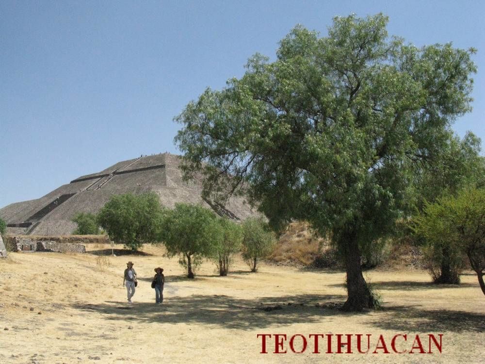 A la découverte de la nature près des pyramides mexicaines