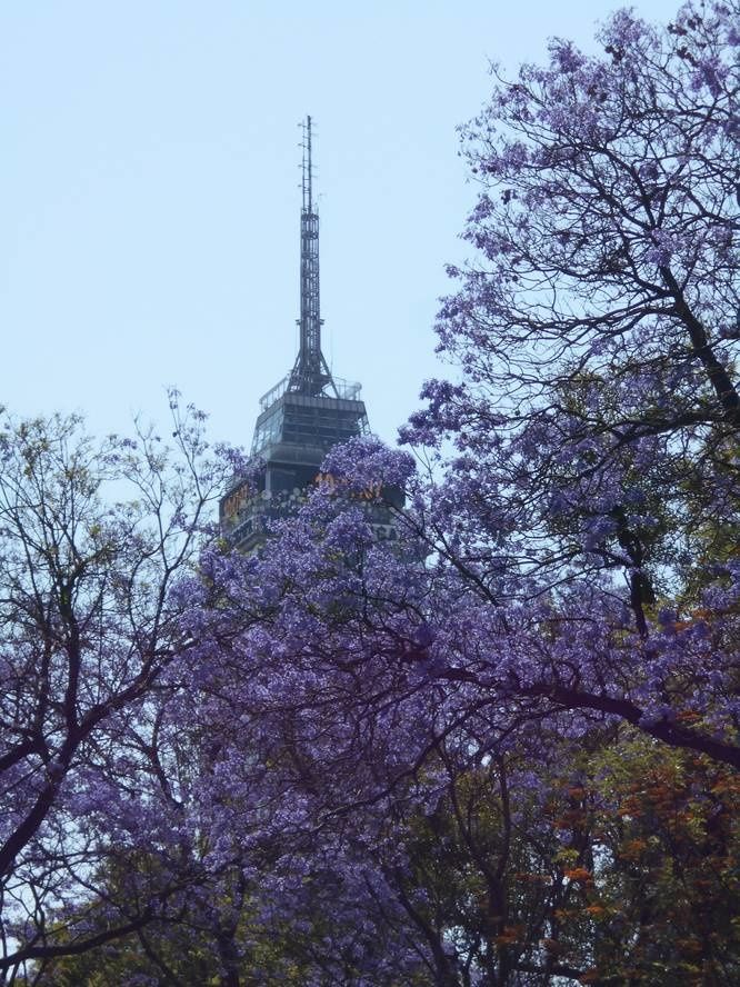 Mexico, et pour commencer, une balade sur ses prestigieuses avenues