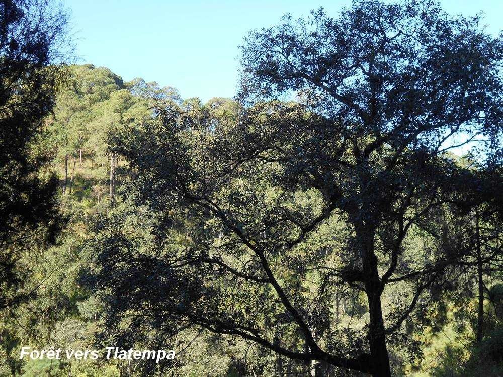 Rétrospective : une jolie moisson d'images inoubliables en près de 6 mois