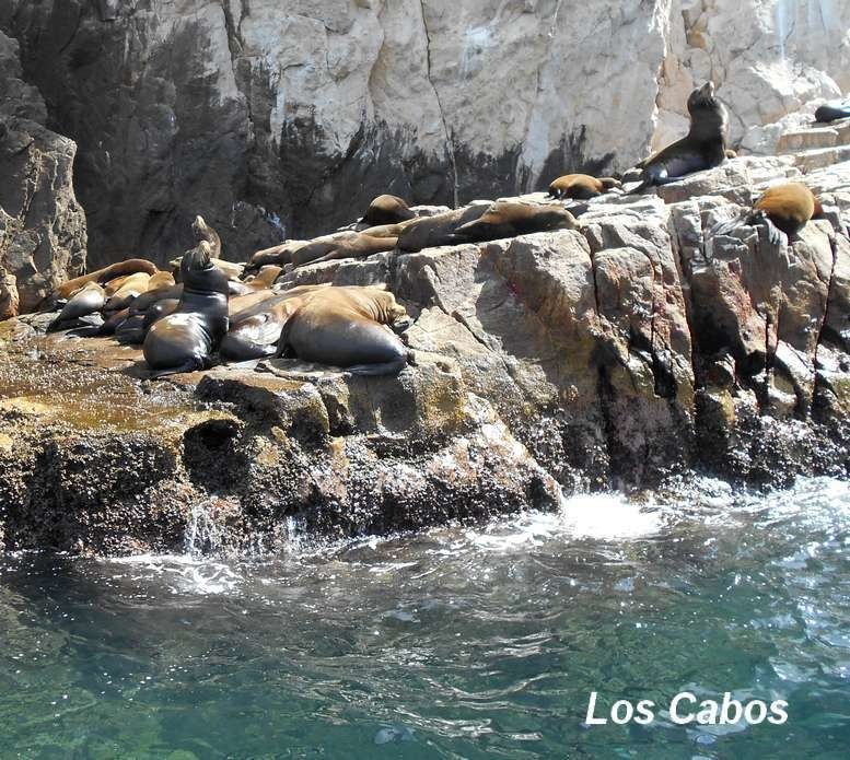 Rétrospective : une jolie moisson d'images inoubliables en près de 6 mois