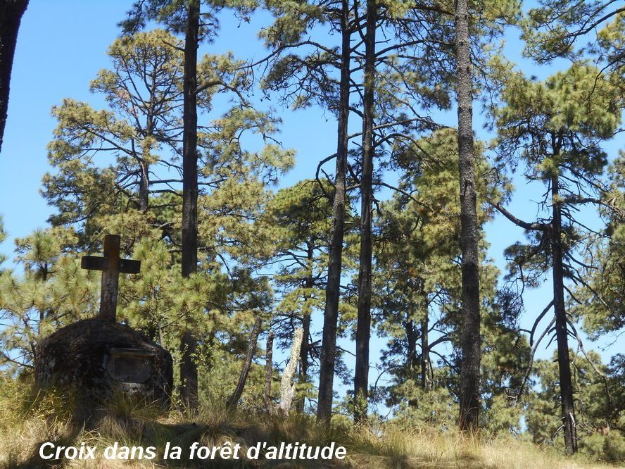 Rétrospective : une jolie moisson d'images inoubliables en près de 6 mois