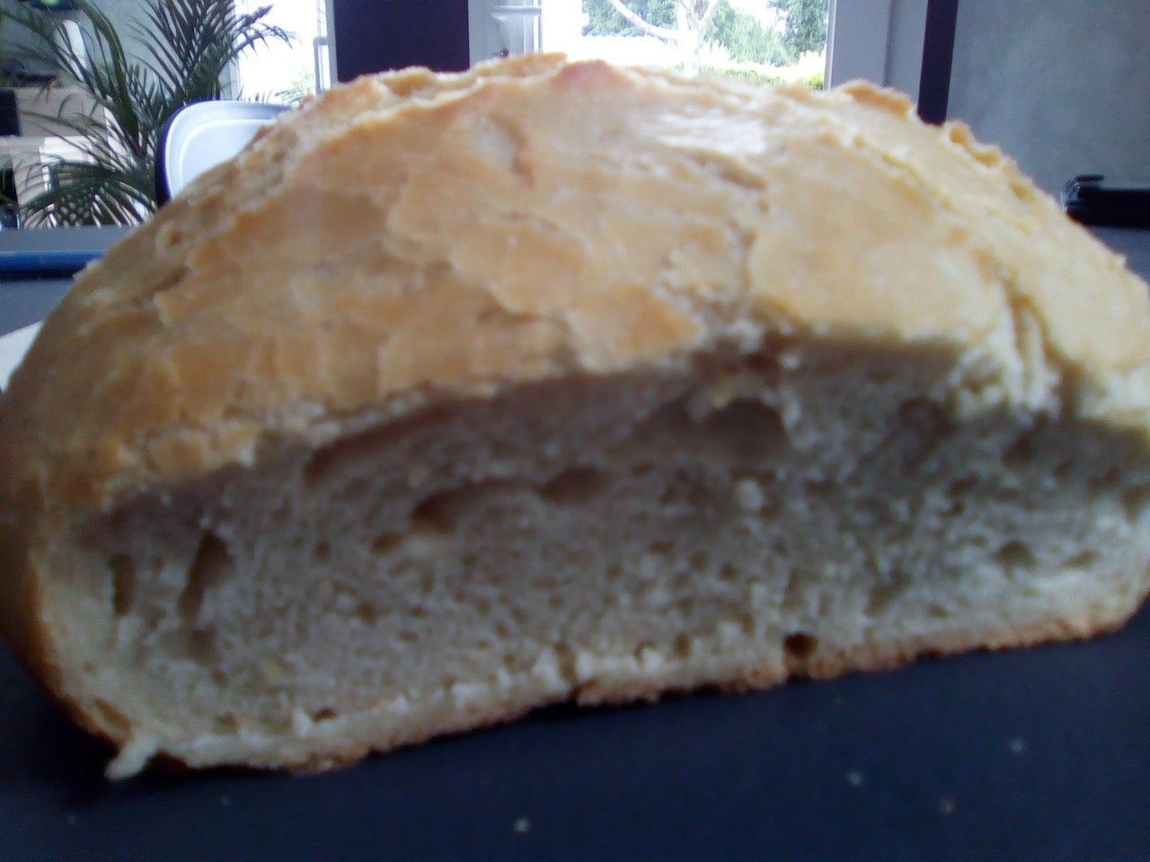 Pain cocotte au companion moulinex