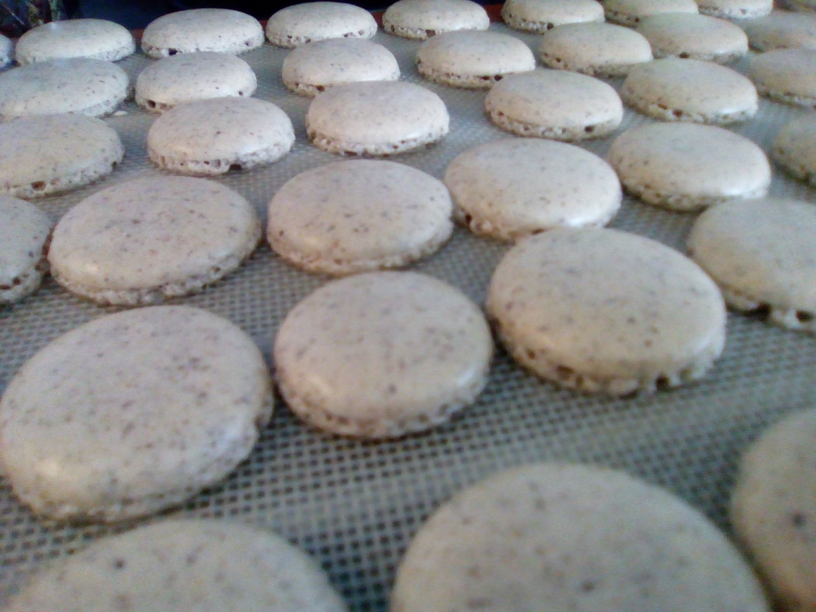 Macarons avec poudre de noisettes