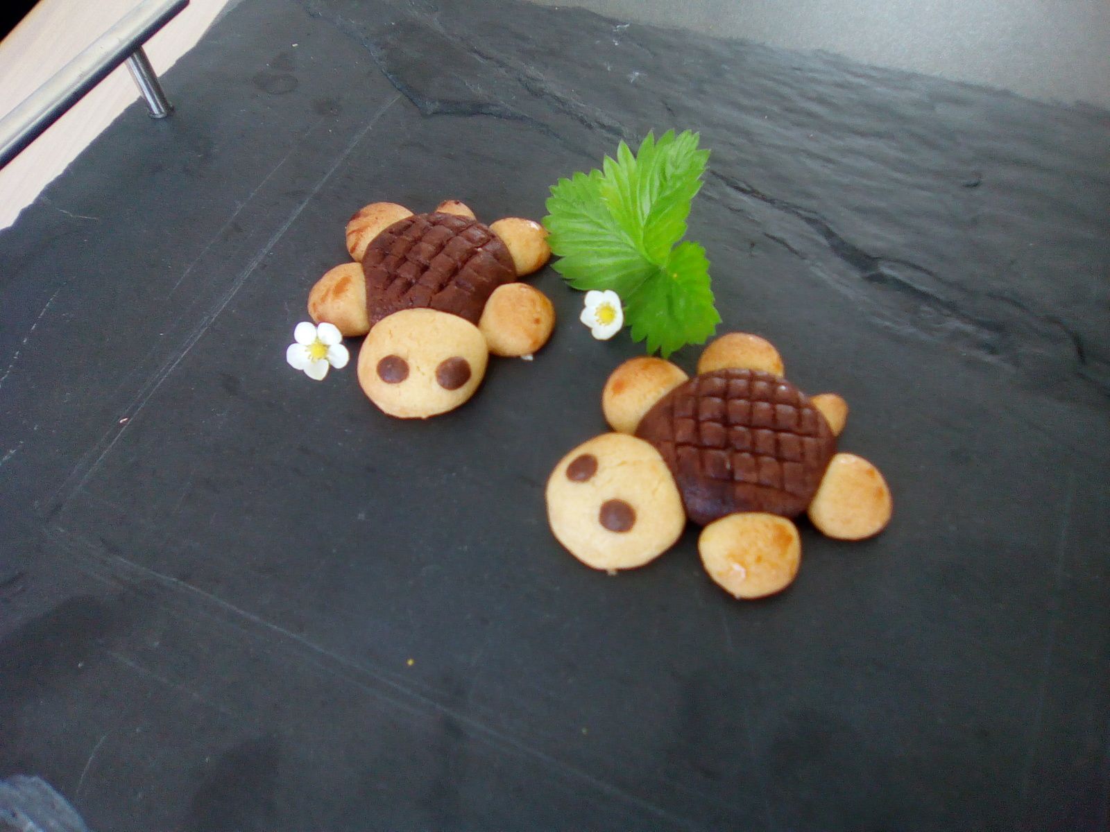 biscuits en forme de tortue (companion ou pas)