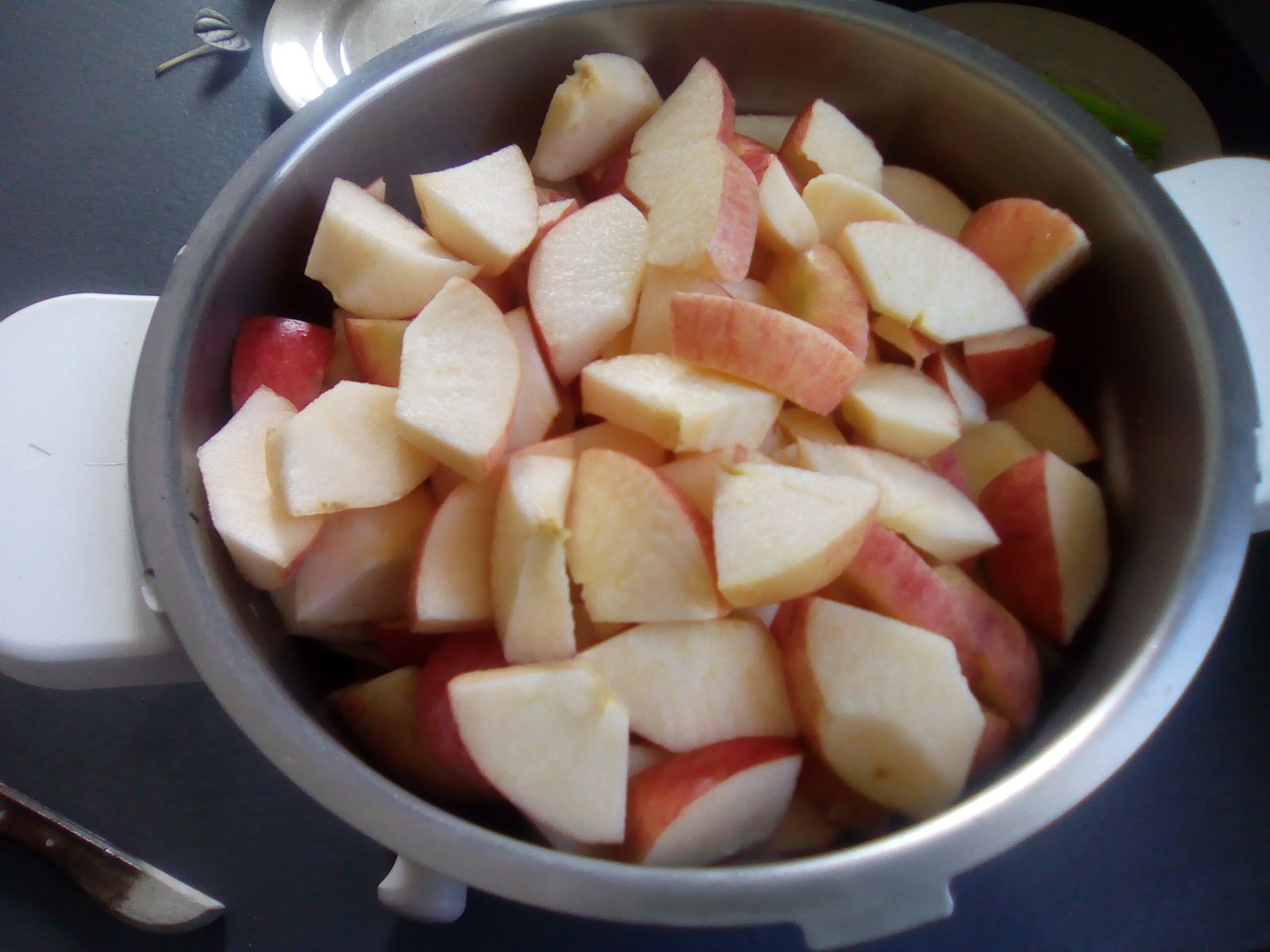 Compote de pommes avec peau au companion Mes Meilleures Recettes Faciles