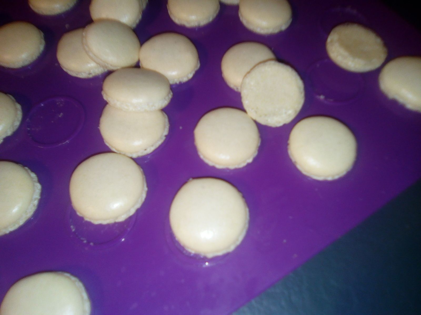 Congeler des blancs d