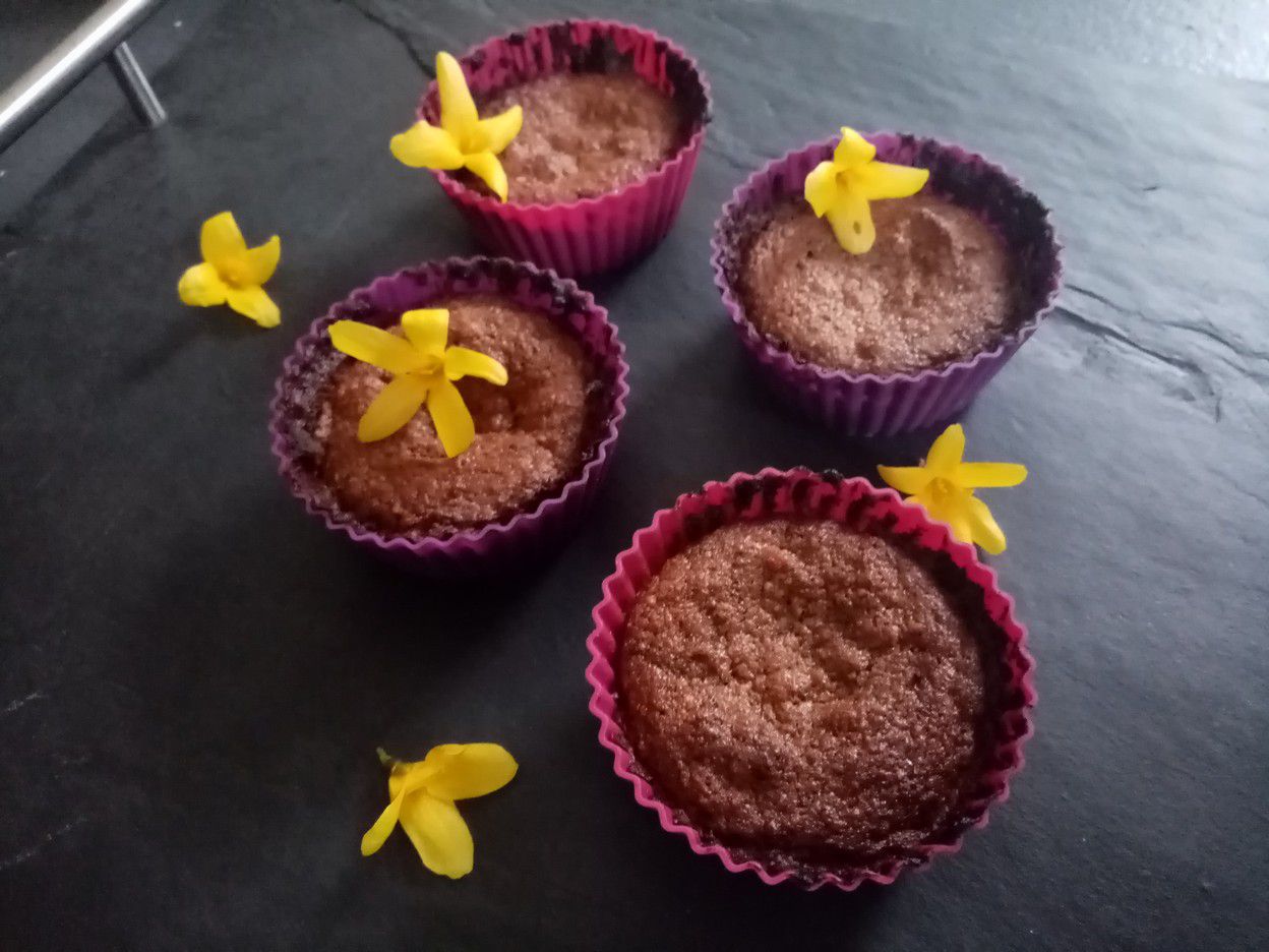 Moelleux Au Chocolat De Cyril Lignac Dans Tous En Cuisine Companion Ou Pas Mes Meilleures Recettes Faciles Moelleux Au Chocolat De Cyril Lignac Dans Tous En Cuisine Companion Ou Pas Mes Meilleures Recettes Faciles