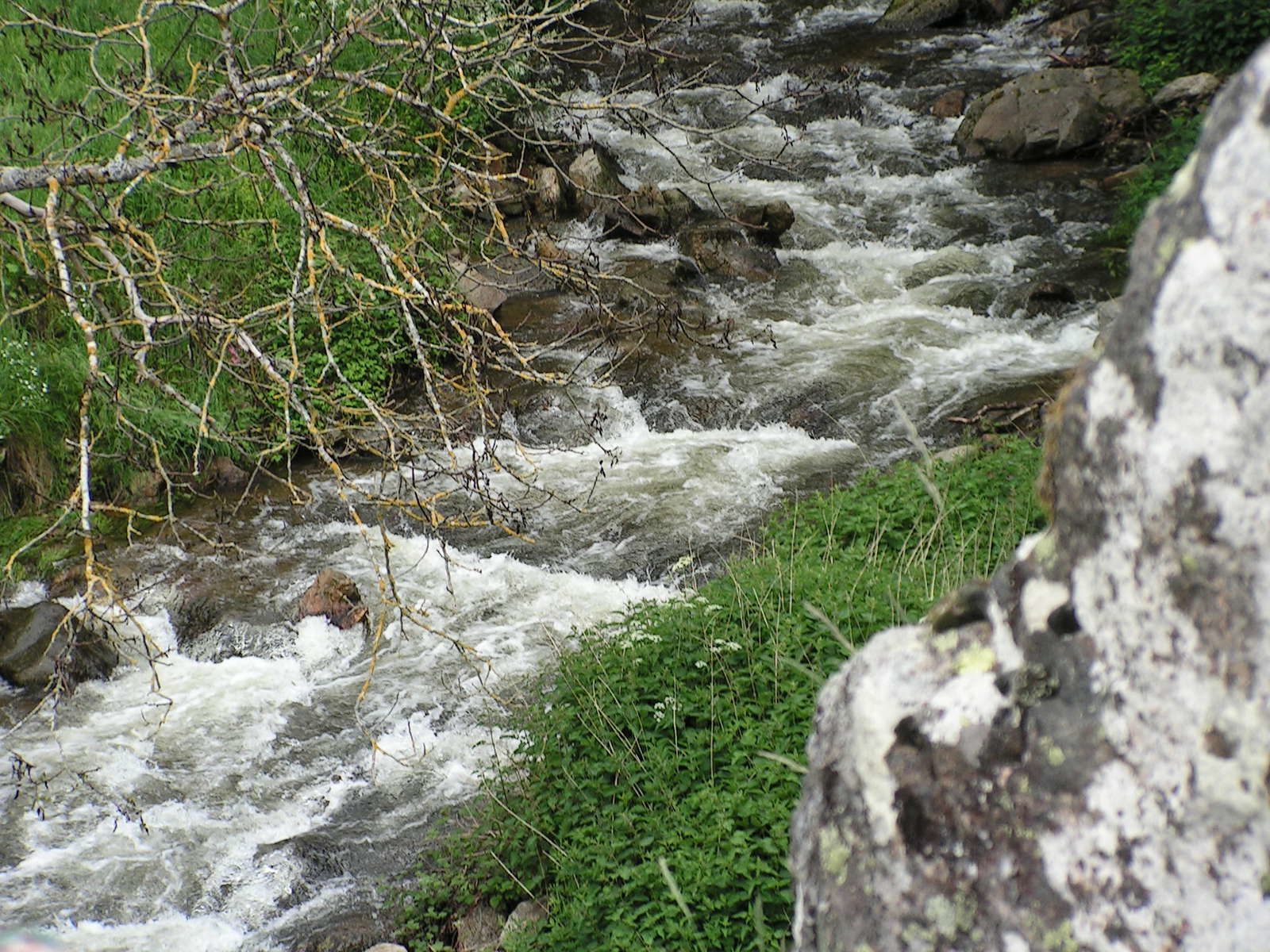 Etang et ruisseau : l'eau sous toutes ses formes photographie