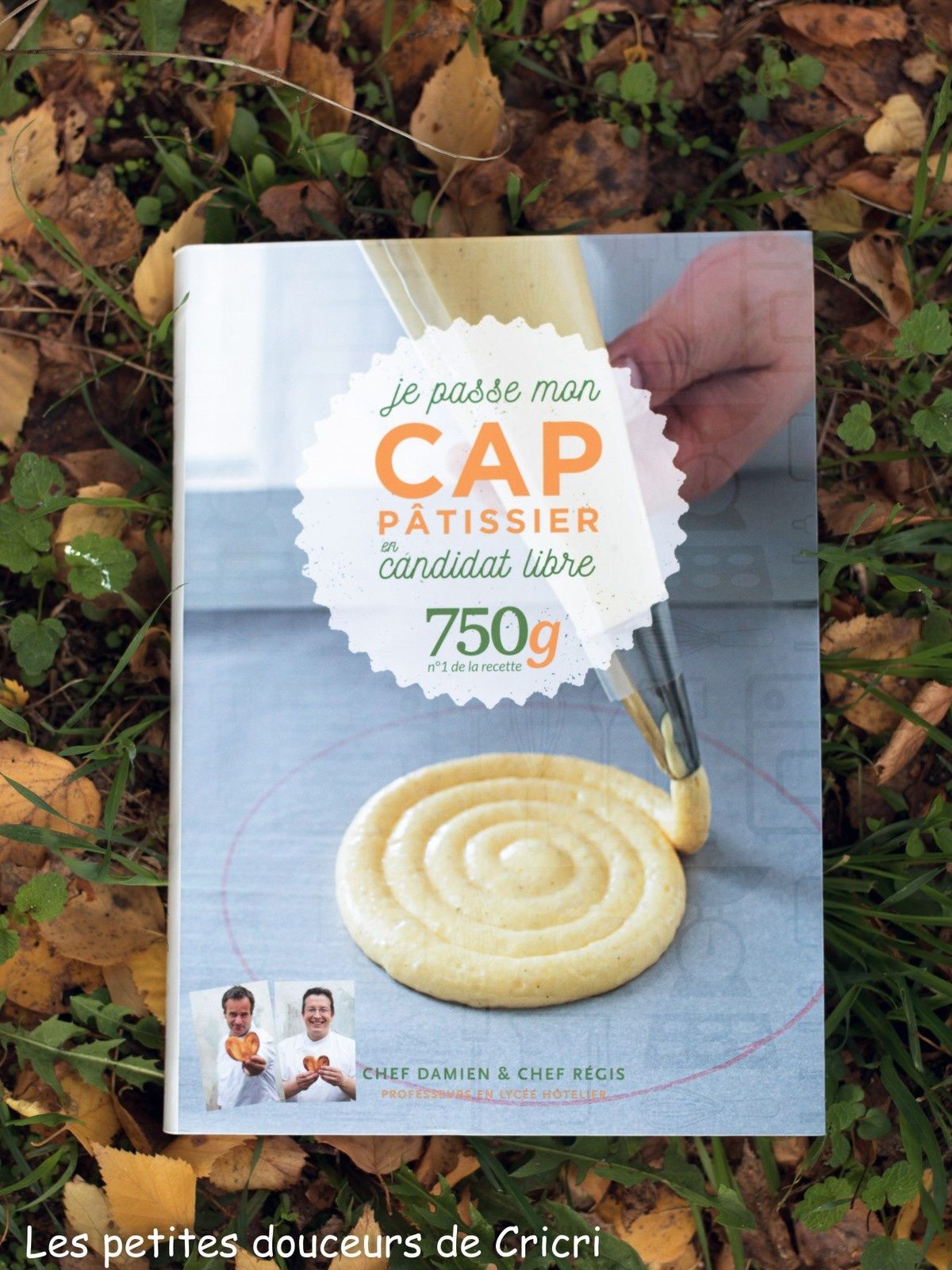 livre cap patisserie 2016 livre cap patisserie 2016